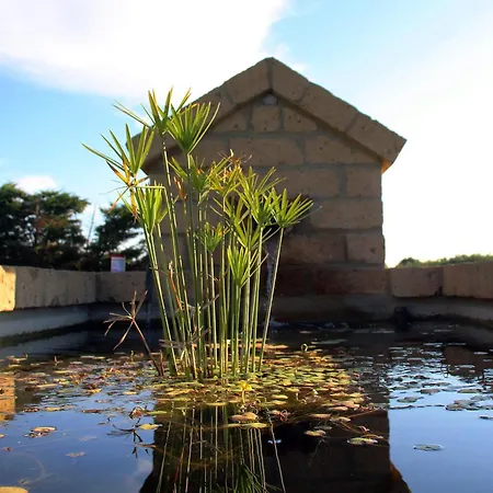 A Casa Di Amici Tuscania