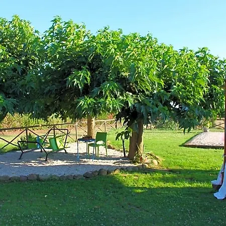 Frühstückspension A Casa Di Amici Tuscania