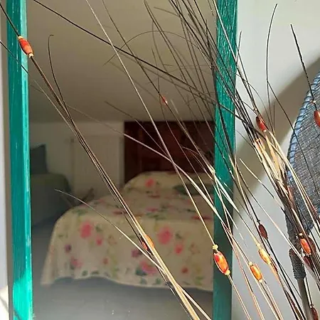 A Casa Di Amici