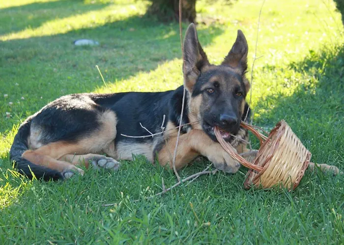 A Casa Di Amici Bed and breakfast 4*