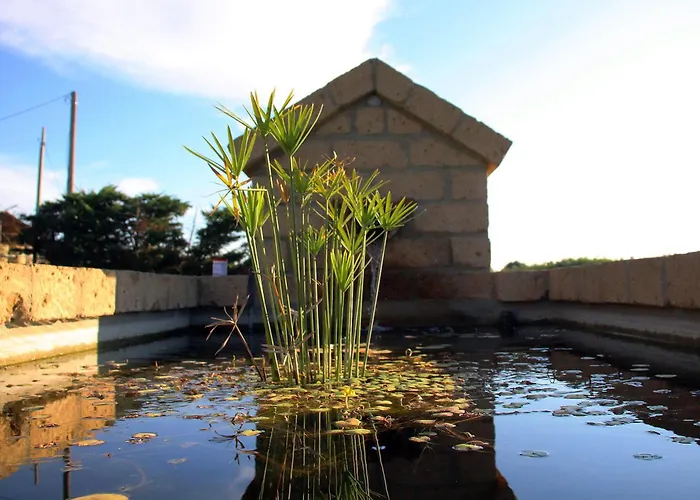 A Casa Di Amici Tuscania